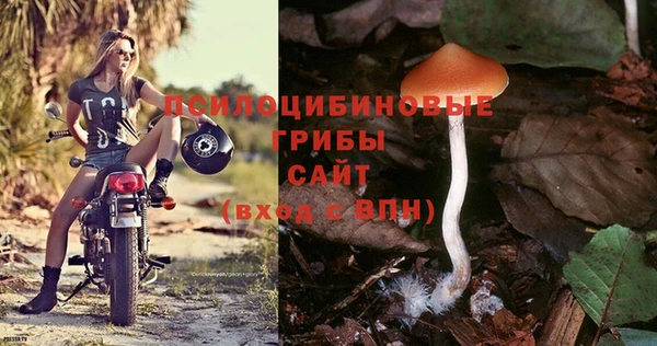прущие крисы Алексин
