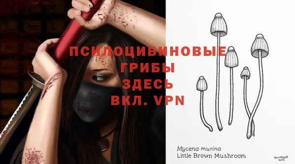 мяу мяу мука Алзамай