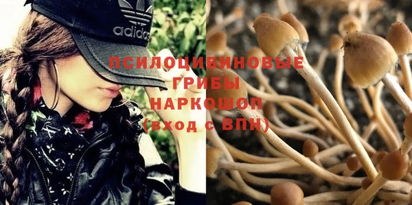 мяу мяу мука Алзамай